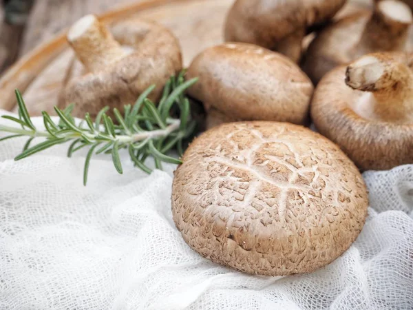 Shiitake champignons op houtondergrond — Stockfoto