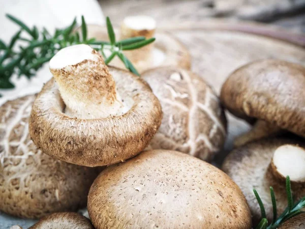Shiitake champignons op houtondergrond — Stockfoto