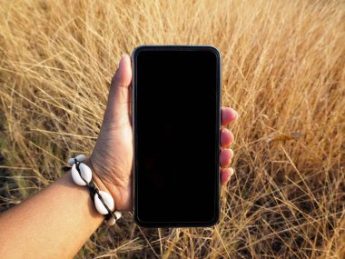 Akıllı telefon ve kurumuş yapraklar.