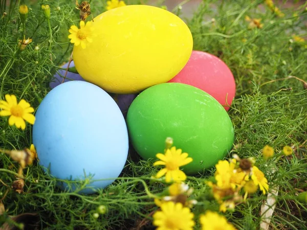 Jaja Kolorowe Dzień Wielkanocy Kwiat — Zdjęcie stockowe