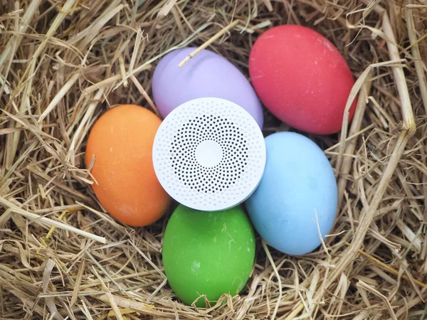 Bluetooth Reproduktor Vejce Barevné Hnízdě Velikonoční Den — Stock fotografie