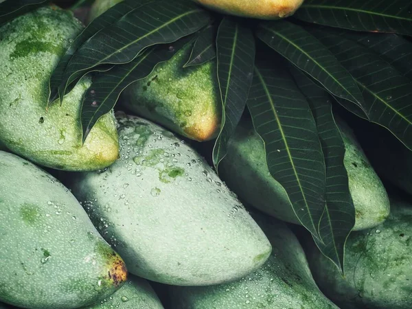 Mango Tropisk Frukt Asien Mat — Stockfoto