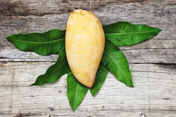 Tropiska Frukter Mango Med Blad — Stockfoto