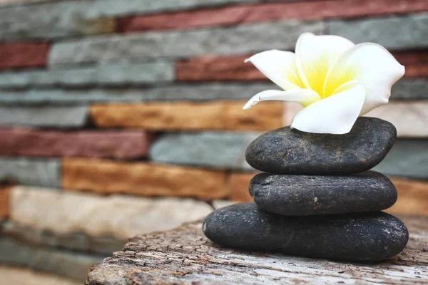 Stone Flower Spa Concept — Stock Photo, Image