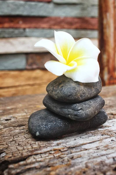 Kamień Kwiat Koncepcji Spa — Zdjęcie stockowe