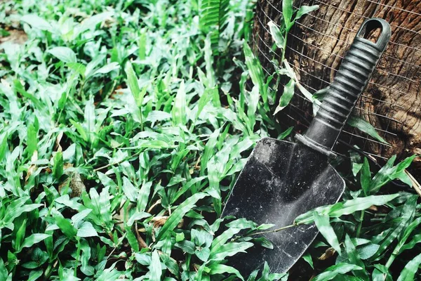 Pala Sobre Fondo Hierba Verde — Foto de Stock