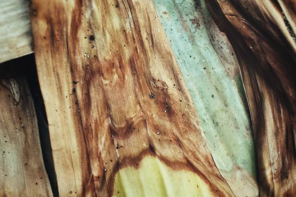 Großaufnahme Von Getrockneten Bananenblättern — Stockfoto