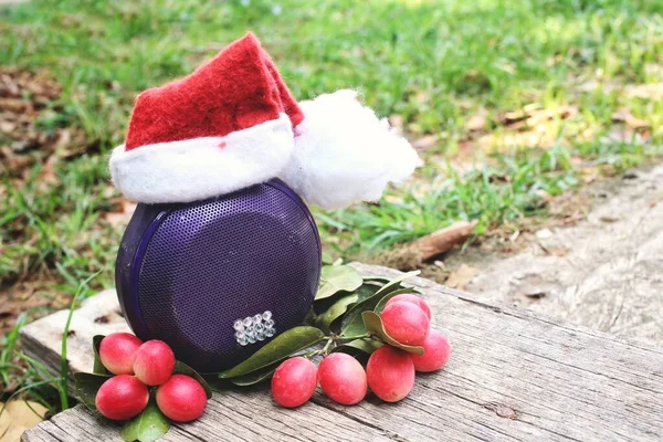 Haut Parleur Bluetooth Avec Chapeau Noël — Photo