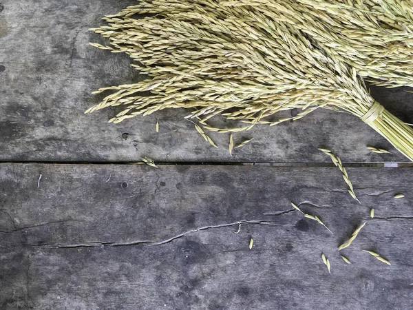 Dry raw rice paddy beautifully tie with brown rope on old wood t — Stock Photo, Image