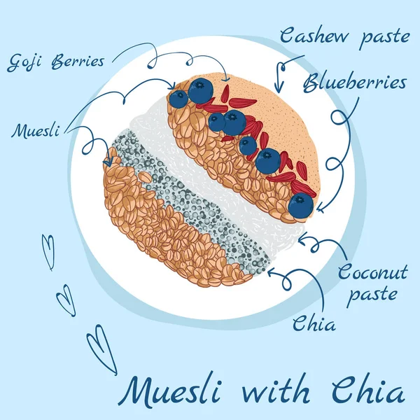 Muesli avec illustration d'art chia — Image vectorielle