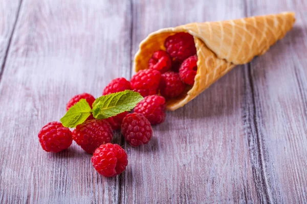 Sugar waffle cone with forest berries horizontal — Stock Photo, Image