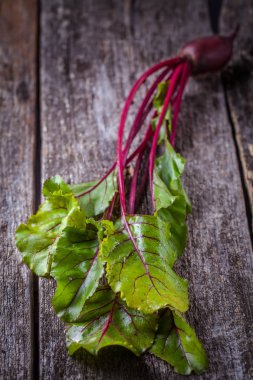 Ahşap zemin, üstleri ile genç pancar boşaltmak dikey olarak