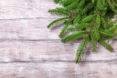 yeşil çam dalları hafif ahşap arka plan üzerinde yatay