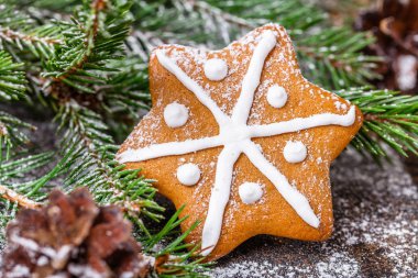 Noel zencefil çerezleri siyah bir arka plan, yatay