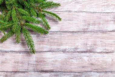 yeşil çam dalları hafif ahşap arka plan üzerinde yatay