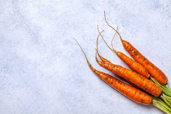 Young carrots with a tops on a light background, horizontally, copyspace