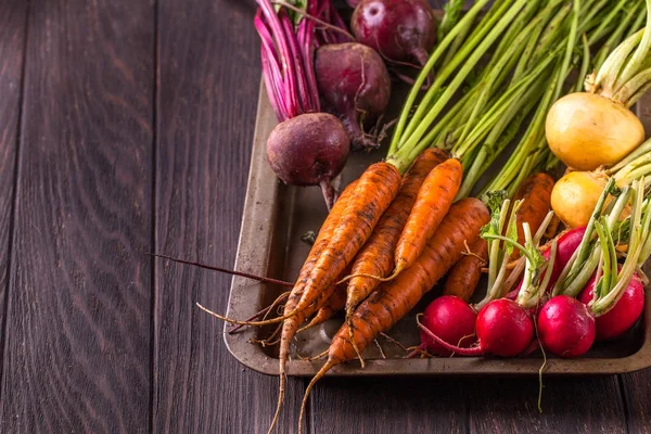 Genç mevsim sebzeleri bir kara günü yatay arkaplan