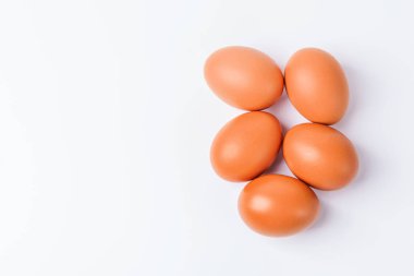 Beyaz arkaplanda izole yumurtalar