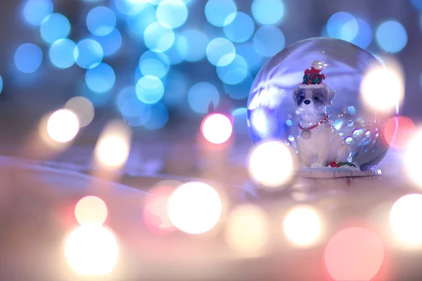 Cão de Natal globo de neve, Zodíaco animal chinês — Fotografia de Stock