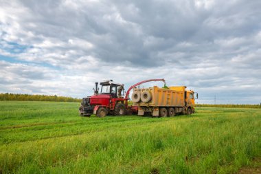 Bulutlu bir günde makine yulaf topluyor.