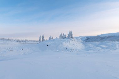 Mavi tonlarda kar altında kalmış ağaçlar, Oymyakon, Sakha Cumhuriyeti, Rusya. Muhteşem dağlık arazilerdeki muhteşem tarla ağaçlarıyla Yakut kışı manzarası