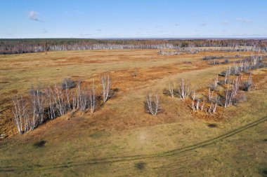Lena Pillars Ulusal Parkı, Sakha Cumhuriyeti, Yakutia 'daki Ust-Buotama kreşinin hava görüntüsü. Kanada 'dan ithal odun bizonları burada yaşıyor..