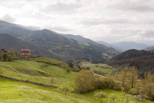 Zobacz Picos de Europa — Zdjęcie stockowe