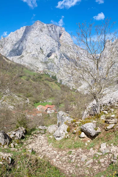 Vista de Bulnes — Fotografia de Stock