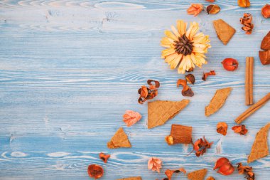 Sonbahar Kuru sarı ve kırmızı çiçekler mavi ahşap arka plan üzerinde. Doku, metin üstten görünüm için arka plan yer