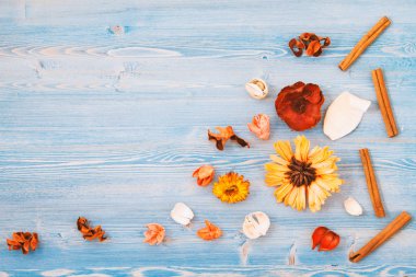 mavi bir ahşap zemin üzerine sarı ve kırmızı çiçek. Doku, arka plan. Metin üst için yer görüntülemek kavramı bir kartpostal için