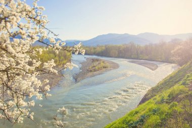 Yaz arka plan görünümü bir dağ nehir ve dağ yoluyla çiçekli ağaçlar