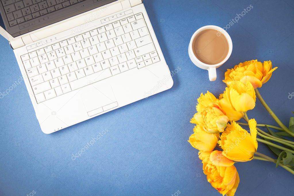 yellow tulips, laptop and coffee on a blue background Spring, summer concept Flat lay Top view