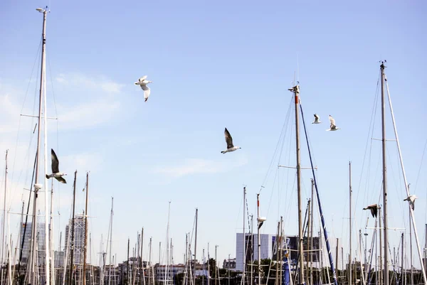 Hamnen i barcelona — Stockfoto