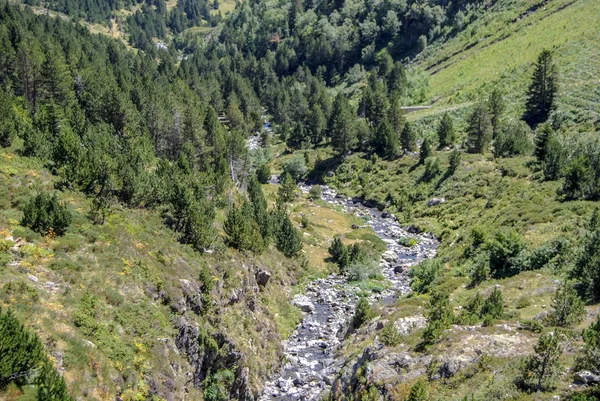 Yeşil dağlar ve nehir manzara