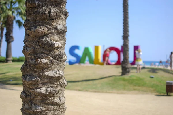 Palmen vor dem Meer (salou spanien) — Stockfoto