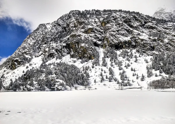 Paesaggio neve in inverno — Foto Stock