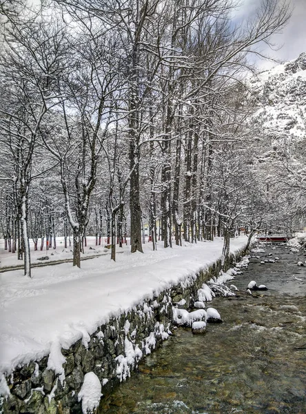 Сніговий пейзаж взимку — стокове фото