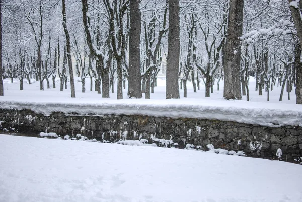 Snow landscape in winter — Stock Photo, Image