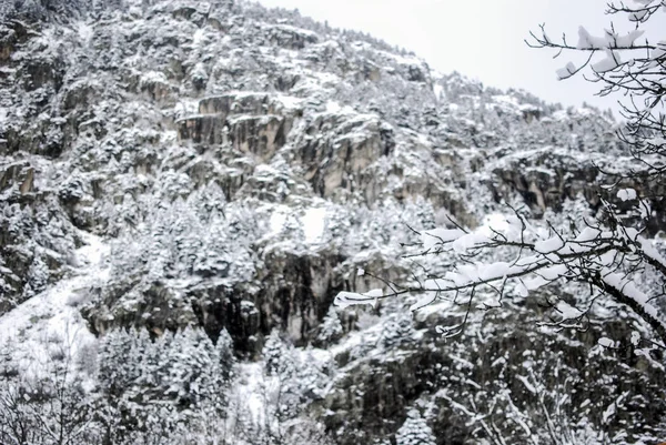 Kışın kar manzarası