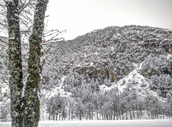 Paesaggio neve in inverno — Foto Stock