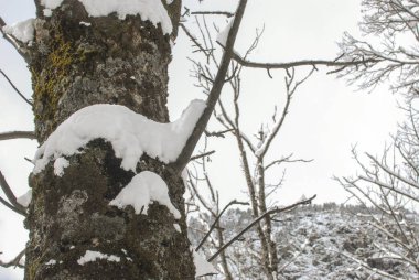 Kar manzara kış (İspanya)