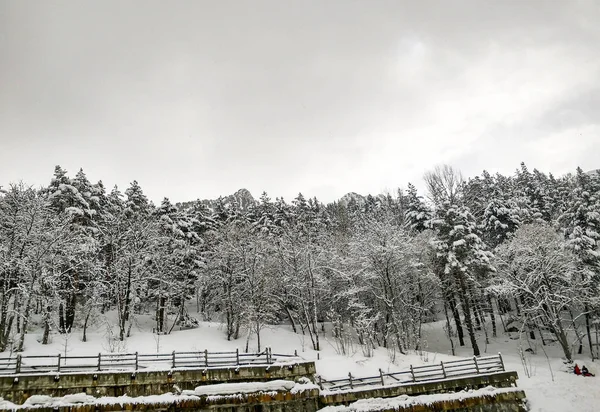 Landschap van sneeuw in de winter (Spanje) — Stockfoto