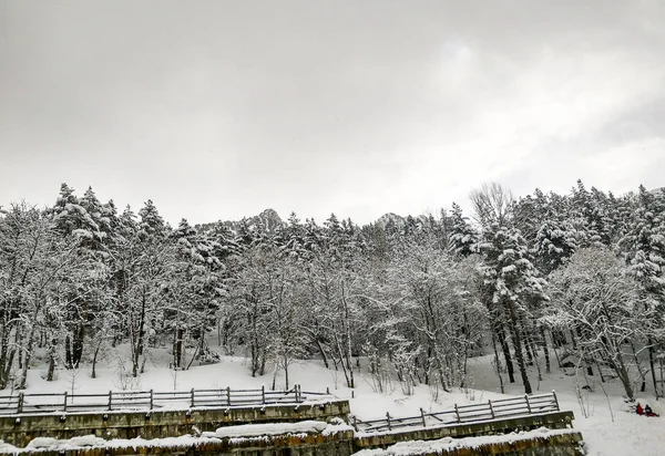 Paesaggio neve in inverno (Spagna ) — Foto Stock