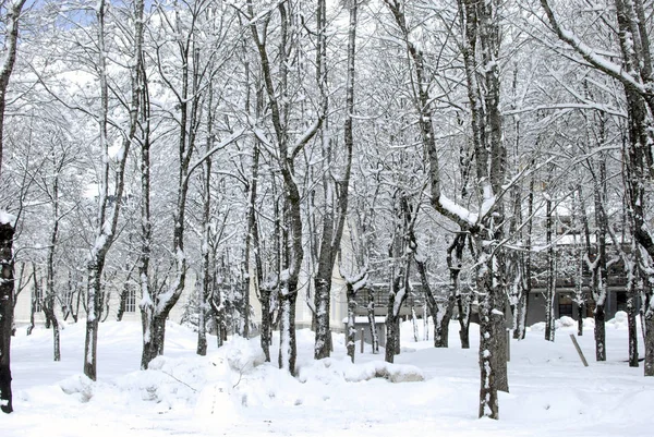 Snow landscape in winter (Spain) — Stock Photo, Image