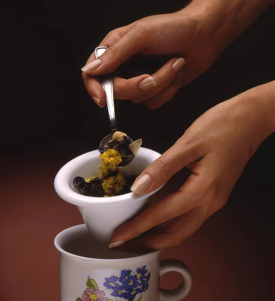 女性の手を準備セラミック溜めマグカップを使用して花の注入 — ストック写真