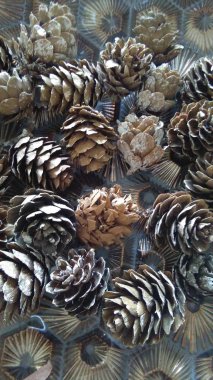 çam kozalakları geometrik desen arka plan üzerinde