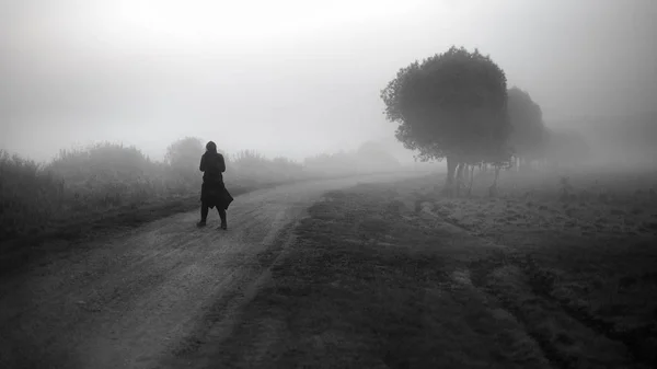 Silhouette Humaine Noire Blanche Sur Chemin Biebrza Pologne — Photo