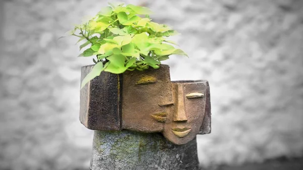 Flower pots with face figures with blurred background