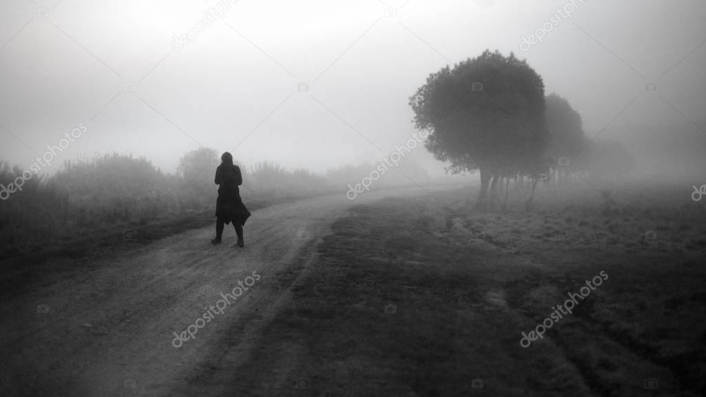 Black and white  human silhouette on the path in  Biebrza, Poland