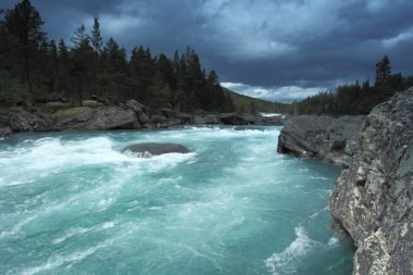 Runde Adası Norveç'in kuzeyinde yer.
